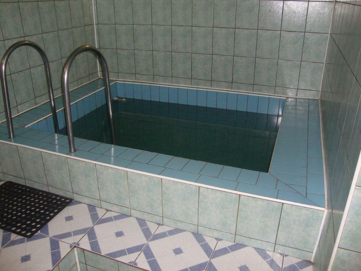 Apartament Domik S Saunoy Na Ogiyenko Kamieniec Podolski Zewnętrze zdjęcie